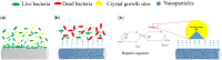 Figure 14.