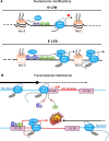 <b>FIG. 1.</b>