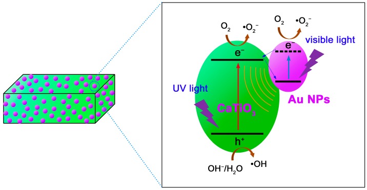 Figure 10