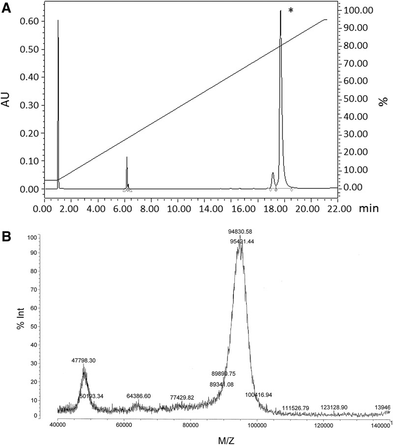 FIG. 2.