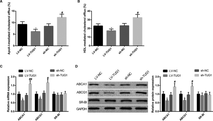 FIGURE 4