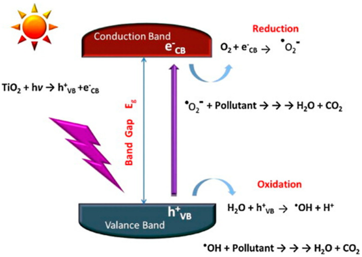 Figure 20