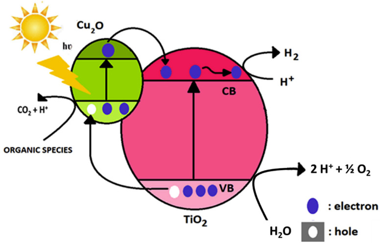 Figure 32