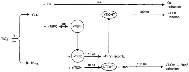 Figure 21