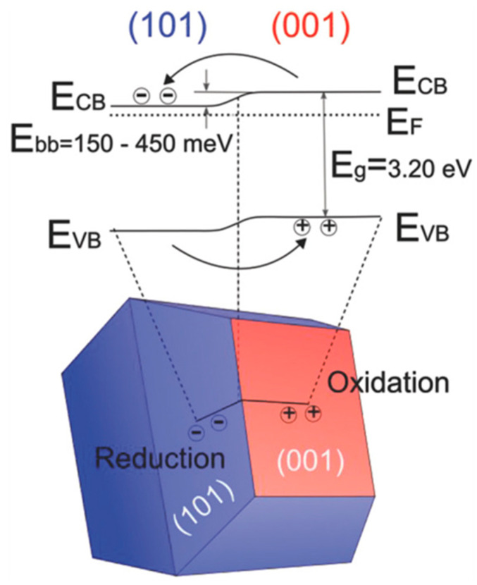 Figure 29