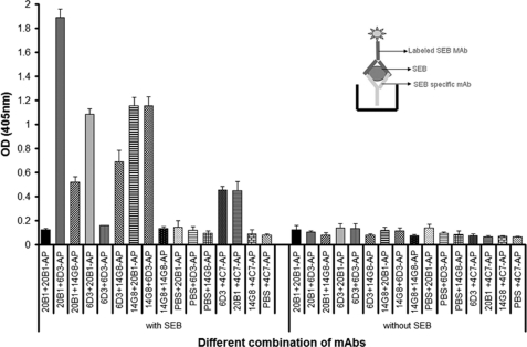 FIGURE 7.