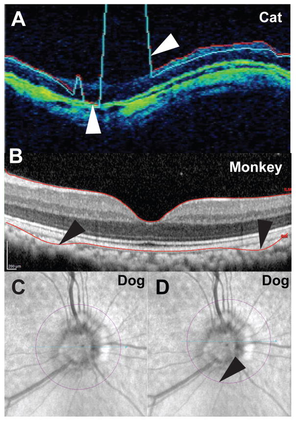 Figure 12