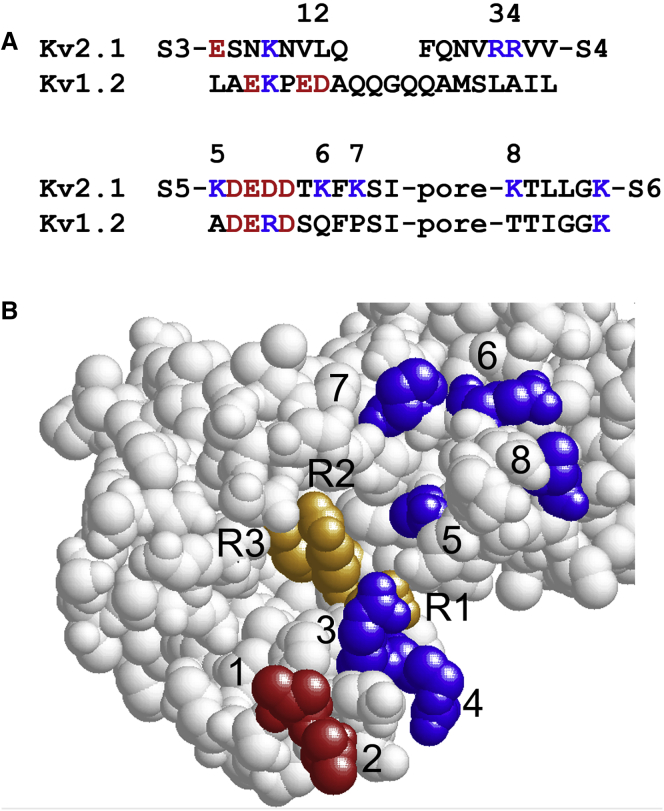 Figure 9