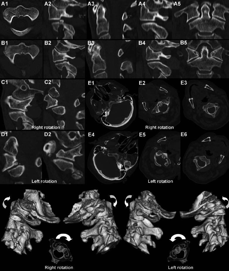 Fig. 4