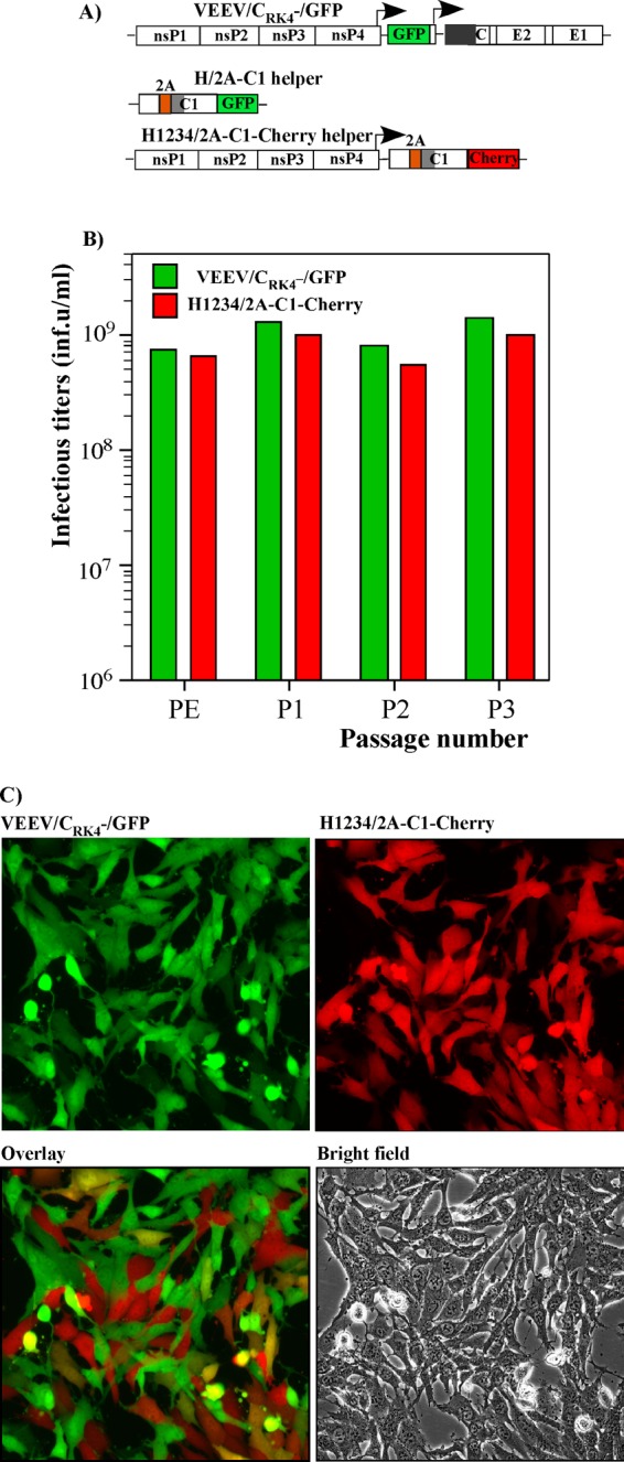 Fig 8