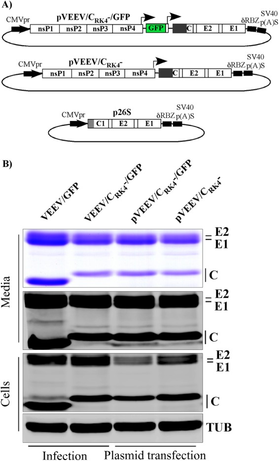 Fig 9