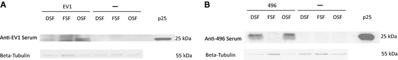 Figure 7