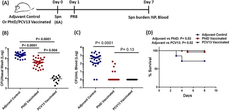 FIG 3