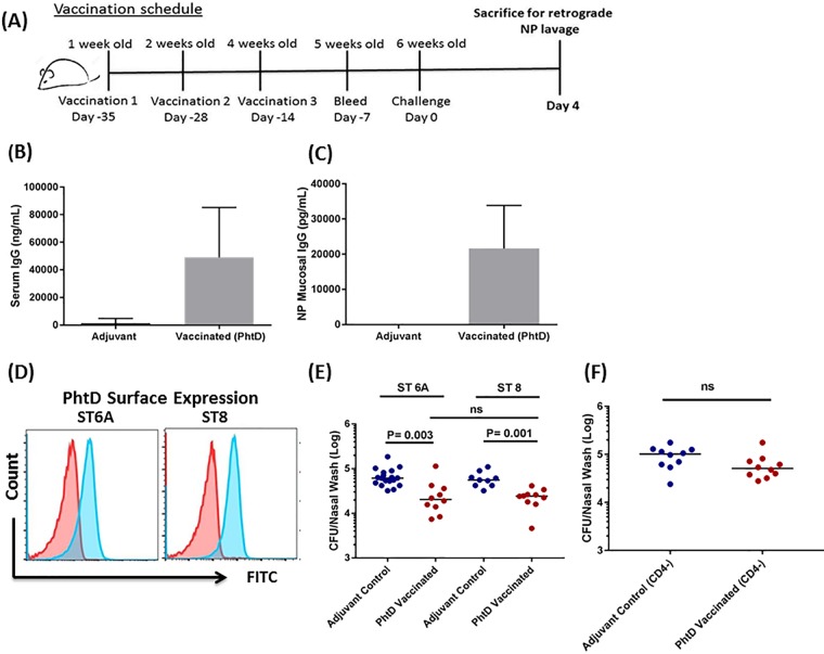 FIG 2