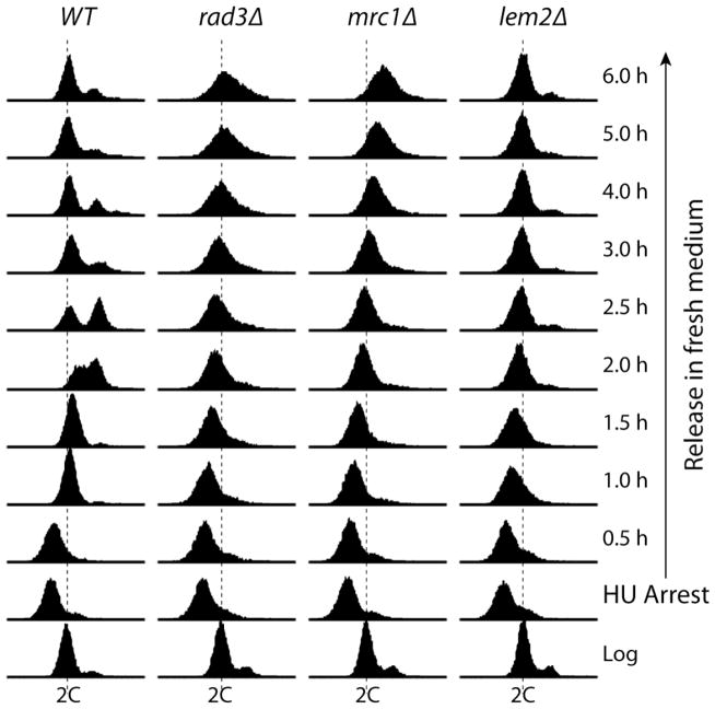 Fig 5