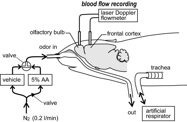 Fig. 1