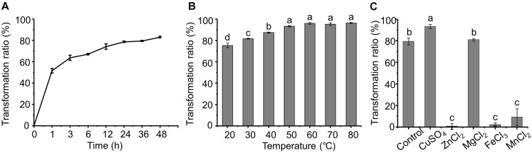 FIGURE 4