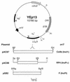 FIG. 1