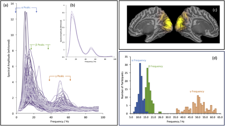 Fig. 3