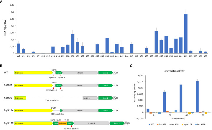 Figure 2