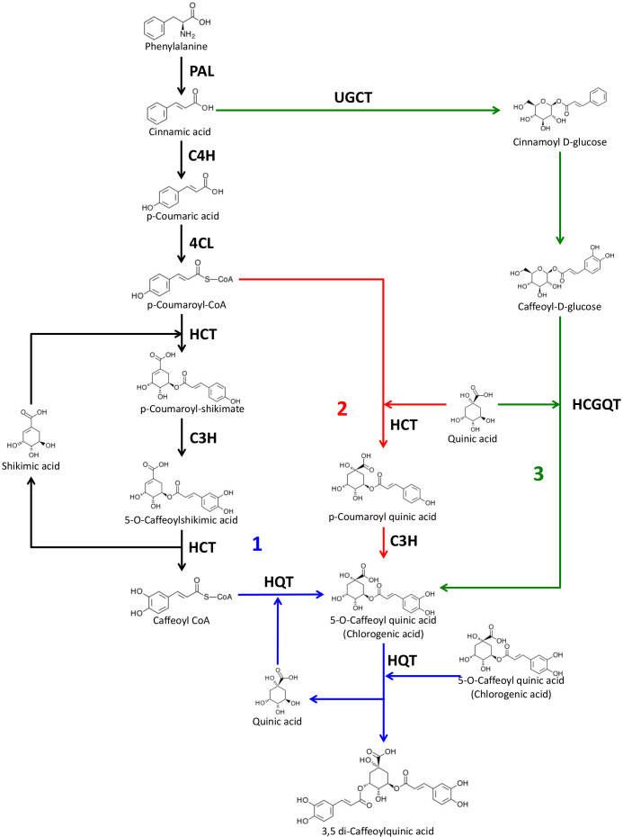 Figure 1