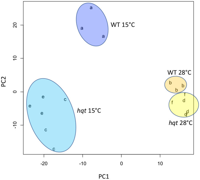 Figure 5