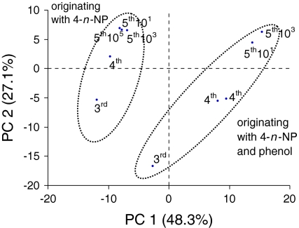 Fig. 5