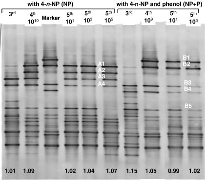 Fig. 4