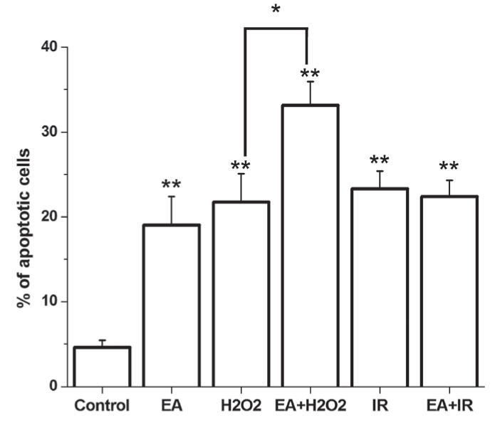 Figure 3)