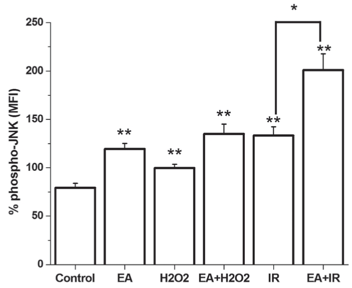 Figure 4)