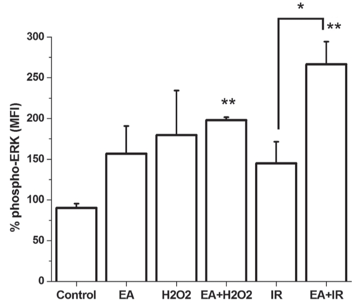 Figure 6)