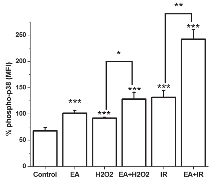 Figure 5)