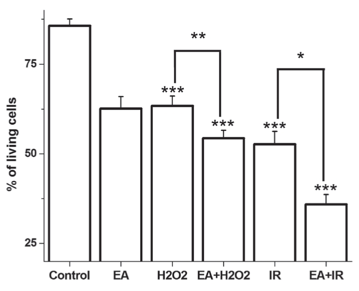 Figure 2)