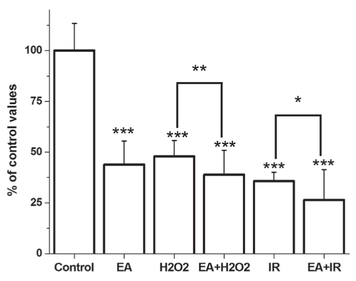 Figure 1)