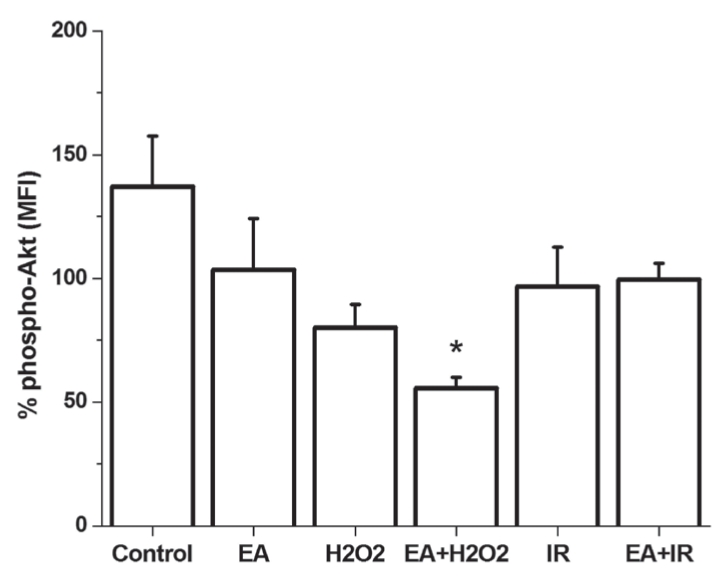 Figure 7)