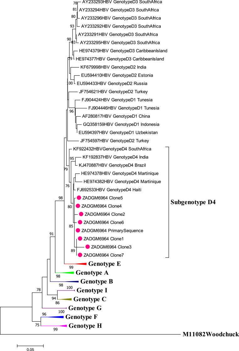 Fig. 7