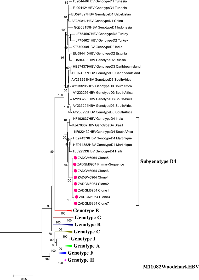 Fig. 5