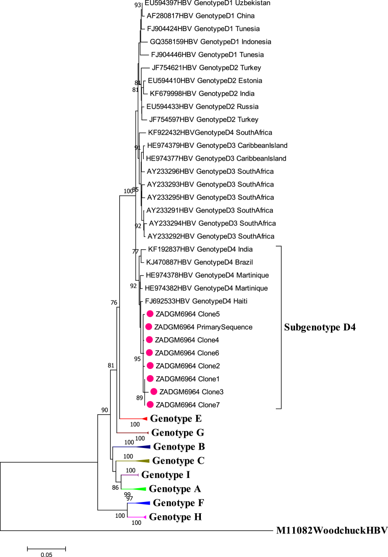 Fig. 6