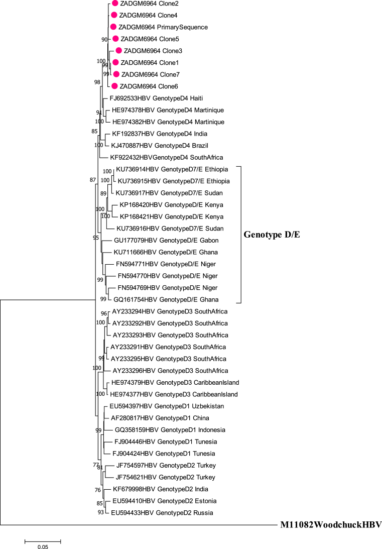 Fig. 4