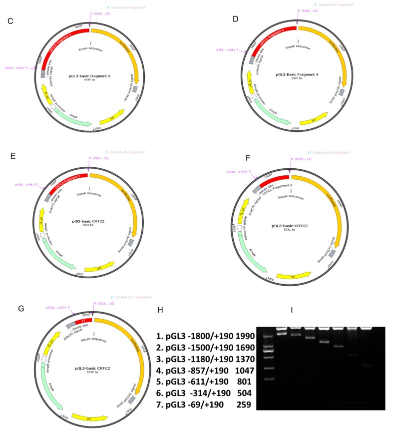 Figure 10