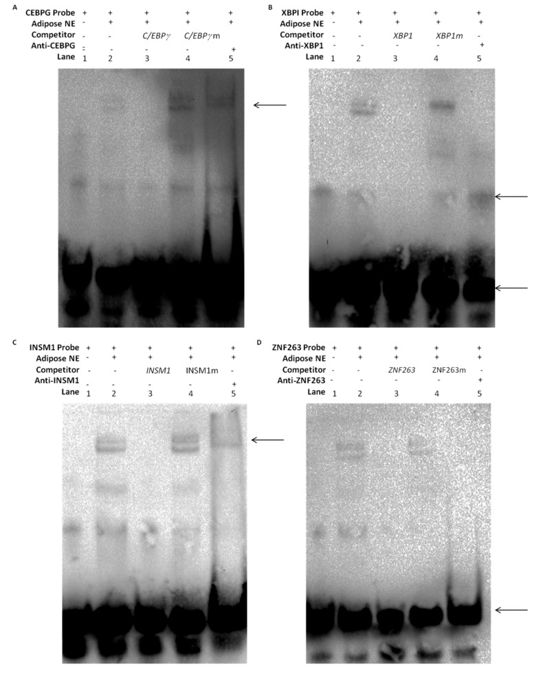 Figure 9