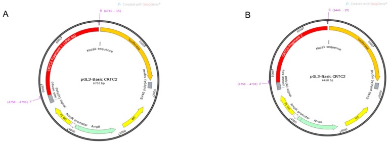 Figure 10