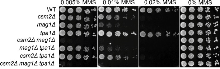 Figure 6—figure supplement 1.