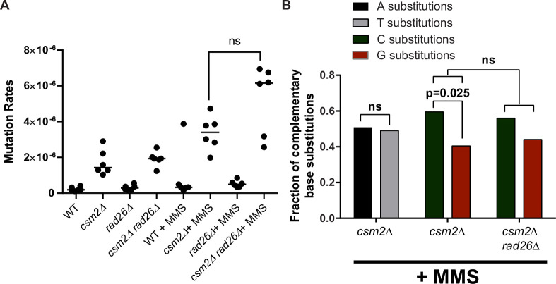 Figure 2—figure supplement 1.