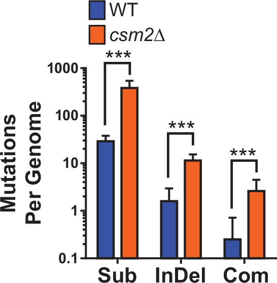 Figure 1—figure supplement 1.