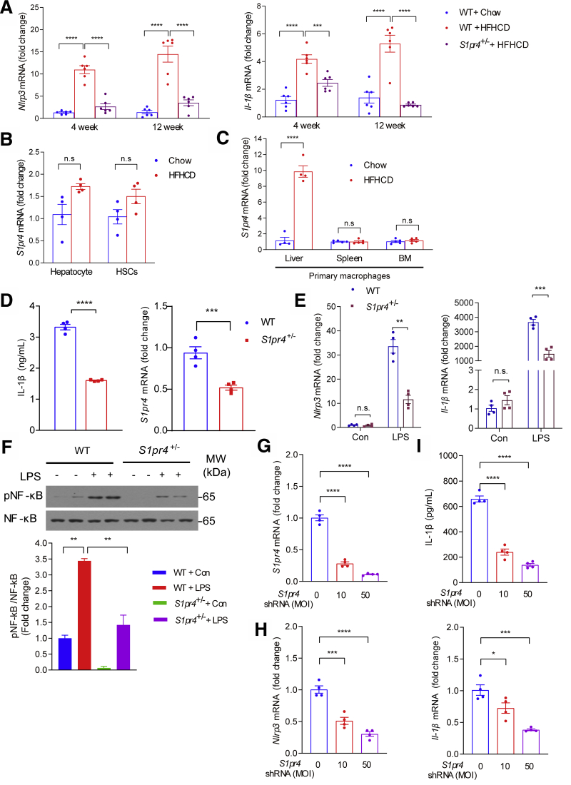 Figure 4