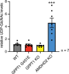 Figure 5—figure supplement 1.