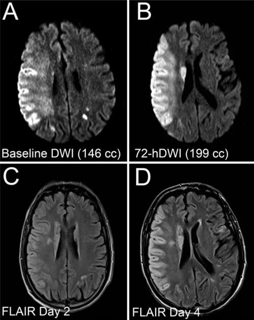 Fig. 2