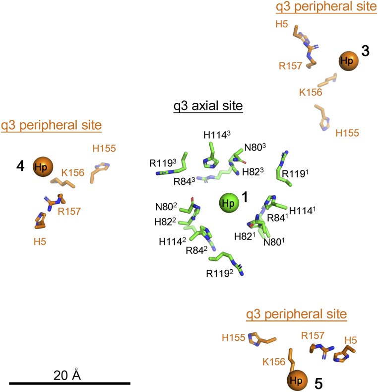 Fig. 3.