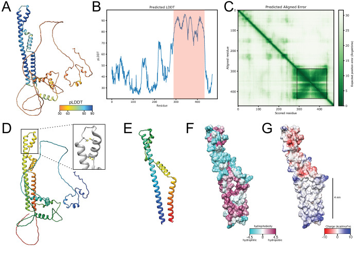 Figure 5—figure supplement 1.